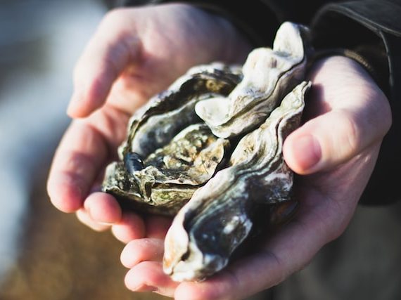 the property market is your oyster